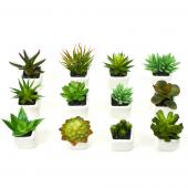 Decostar™ Succulents 1¾" 12pc/set  - Green