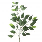 Decostar™ Artificial Ficus Leaf Stem (12 stems) - 21" x 34"