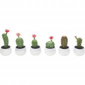 Artificial Assorted Potted Cactus 6pcs/set