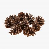 Decostar™ Natural Large Pine Cones 10pc/bag
