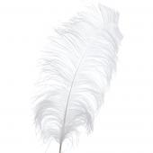 Decostar™ White Ostrich Feather - 22" to 24" - 12 Feathers!