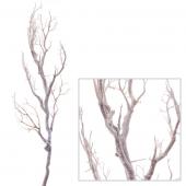 Decostar™ Manzanita Glitter Tree Branch 47"- White - 12 Pieces