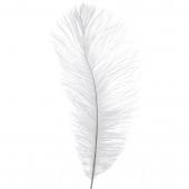 Decostar™ Ostrich Feather 13"-15" - Pack of 48 - White