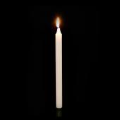 Decostar™ Taper Candles - 10" - 288 Pieces - Ivory