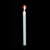 Decostar™ Taper Candles - 10" - 288 Pieces - White