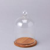 Decostar™ Glass Dome with Wood Base- 24 Pieces