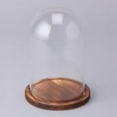 Decostar™ Glass Dome with Wood Base- 12 Pieces