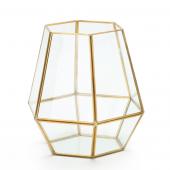 Decostar™ Terrarium Display 8" - Gold