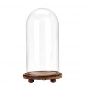 Decostar™ Glass Dome with Wood Base 13"