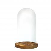 DECOSTAR™ 8.5in Glass Dome with Wood Base