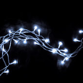 Cool White LED Light Strand-Electric