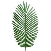 Artificial Feather Palm Leaves 26½" - Light Green