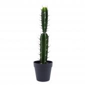 Faux San Pedro Cactus with Pot - 20“