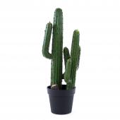 Faux Pencil Cactus With Pot - 28“