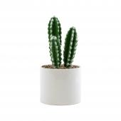 Faux Euphorbia Cactus With Pot - 12“