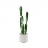 Faux Euphorbia Cactus With Pot - 24“