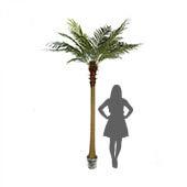 Giant Faux Palm Tree - 9ft