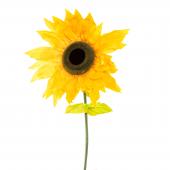 Decostar™ Jumbo Sunflower Stem 67"