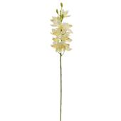 Faux Cymbidium Orchid 30" - White