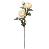 Decostar™ Artificial Peony Stem 27½" - White