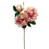 Artificial 3 Head Peony Stem 24" - Blush