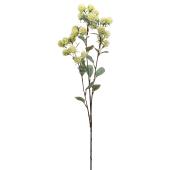 Faux Seeded Eucalyptus Branch 30" - Green