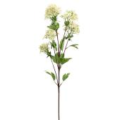 Faux Fraxinus Griffithii Branch 30" - Cream