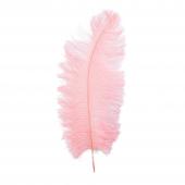Ostrich Feather 12pc/bag 13"-15" - Blush