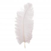 Ostrich Feather 12pc/bag 13"-15" - White
