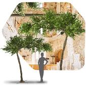 11ft Artificial Fig Leaf Tree, 27 Interchangeable Branches | ModTree™ Collection