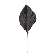 OASIS Corsage Leaf - 2 1/4" - Black
