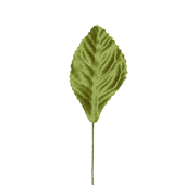 OASIS Corsage Leaf - 2 1/4" - Moss Green