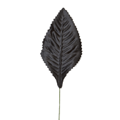OASIS Corsage Leaf - 3" - Black