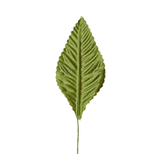 OASIS Corsage Leaf - 3" - Moss Green