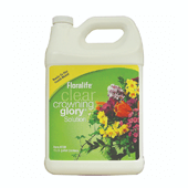 OASIS Floralife® Crowning Glory® Solution - 1 Gallon - Clear