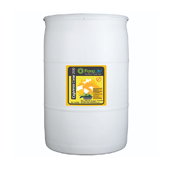 OASIS Floralife® Express Clear 200 - 55 Gallon