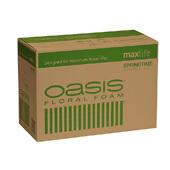 OASIS Springtime Floral Foam Maxlife - 48 Pieces