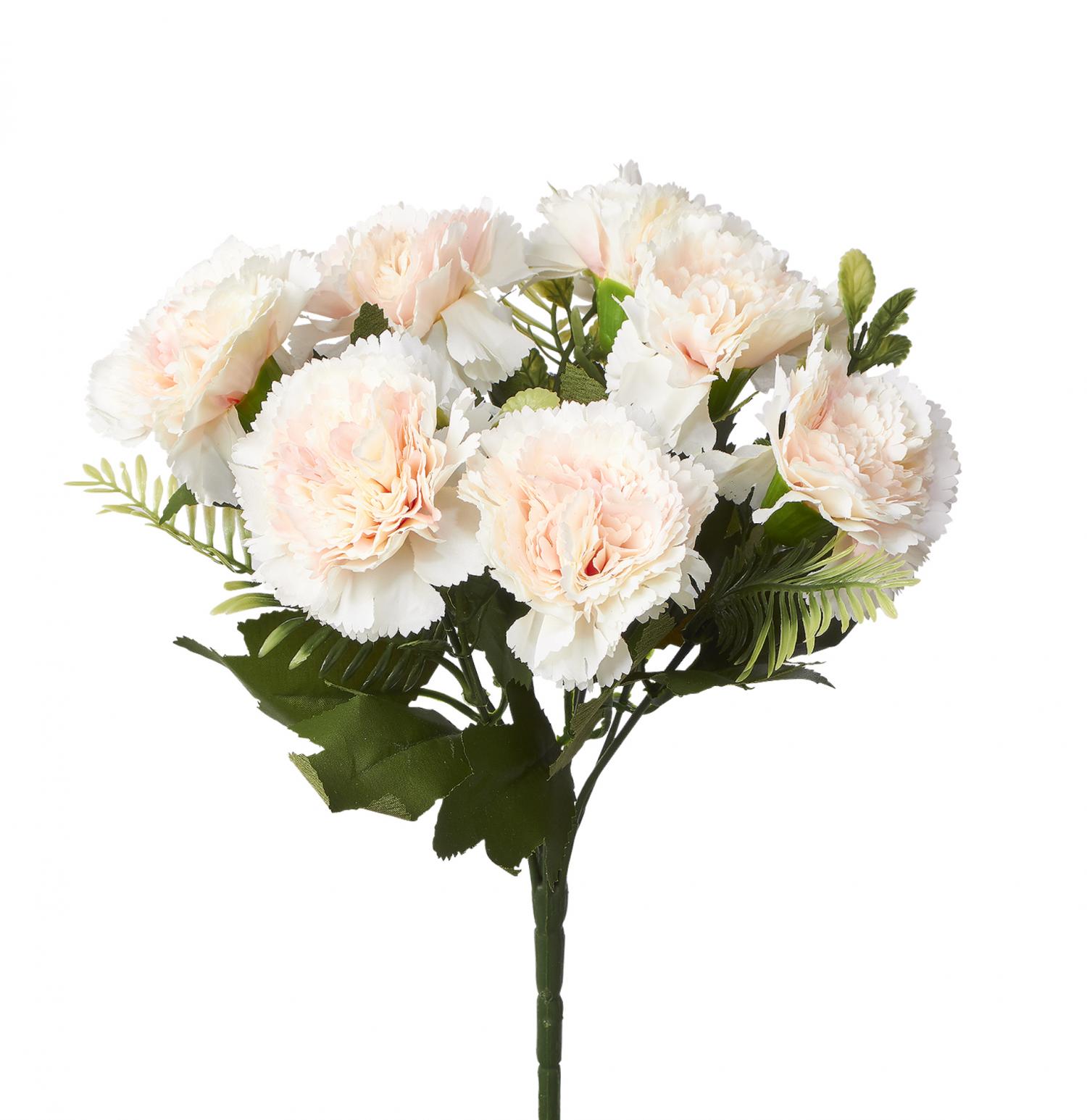 The Lovely Carnation - January's Birth Flower - Cascade Floral Wholesale