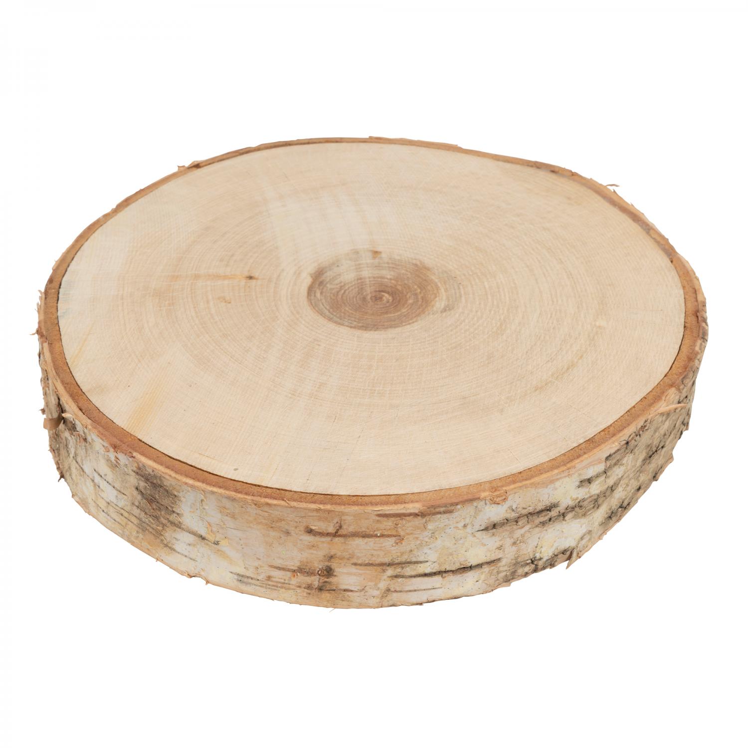 Natural Large Wood Slice - 12