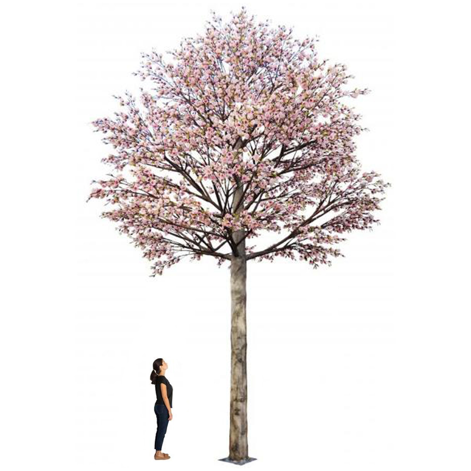 HUGE 26FT Tall Cherry Blossom Tree Permanent Install Custom Colors