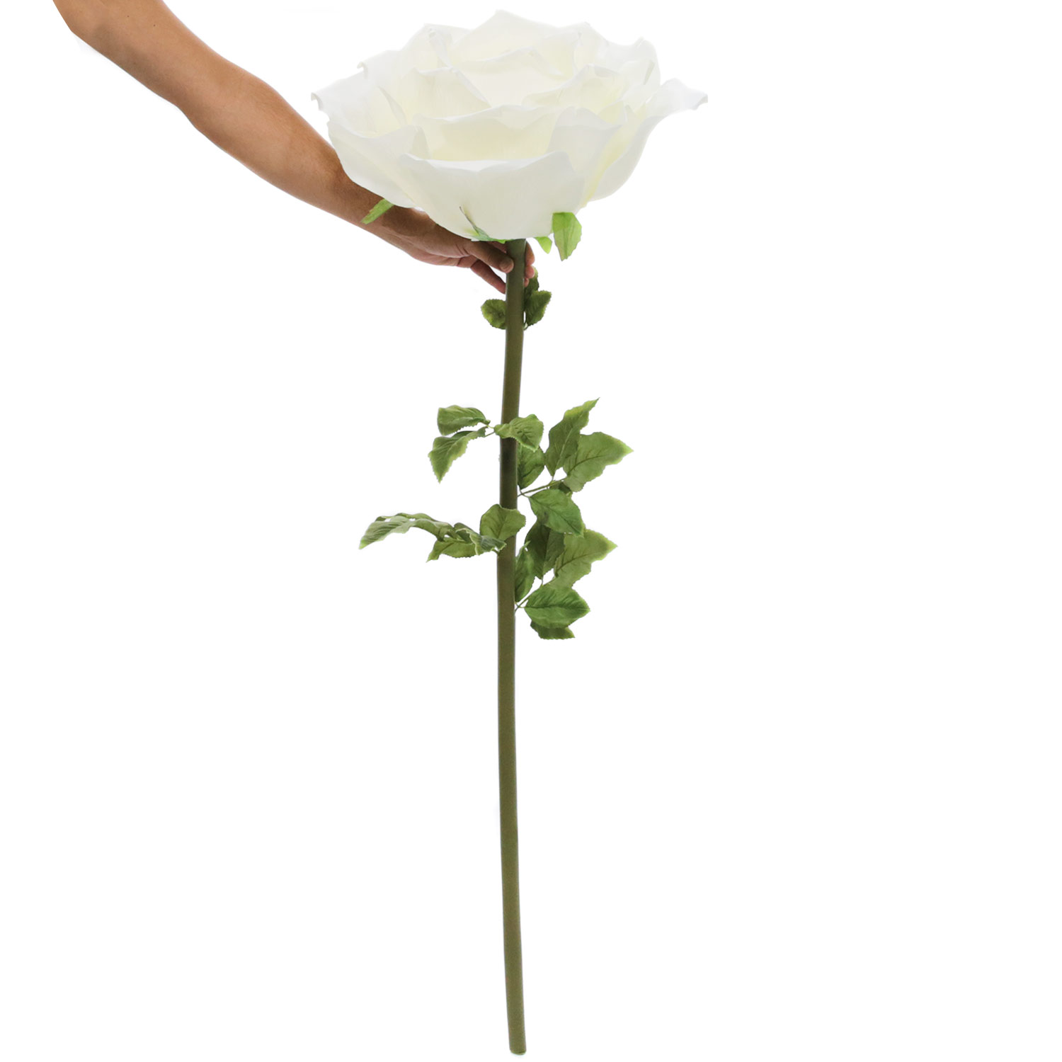Ivory Rose 40 cm Vendela