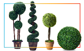Greenery Plants & Balls