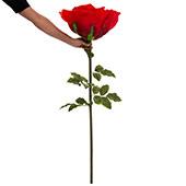 Jumbo Rose 53" - Red