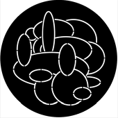 Organic 5 - Stock Gobo for Gobo Light Projectors - Choose your size!