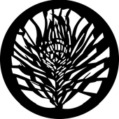 Feathery - Stock Gobo for Gobo Light Projectors - Choose your size!