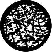 Pine Branches - Stock Gobo for Gobo Light Projectors - Choose your size!