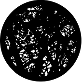 Dense Branches - Stock Gobo for Gobo Light Projectors - Choose your size!