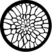 Soft Web - Stock Gobo for Gobo Light Projectors - Choose your size!