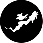 Ghost 2 - Stock Gobo for Gobo Light Projectors - Choose your size!