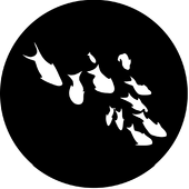 Fishes - Stock Gobo for Gobo Light Projectors -Choose your size!